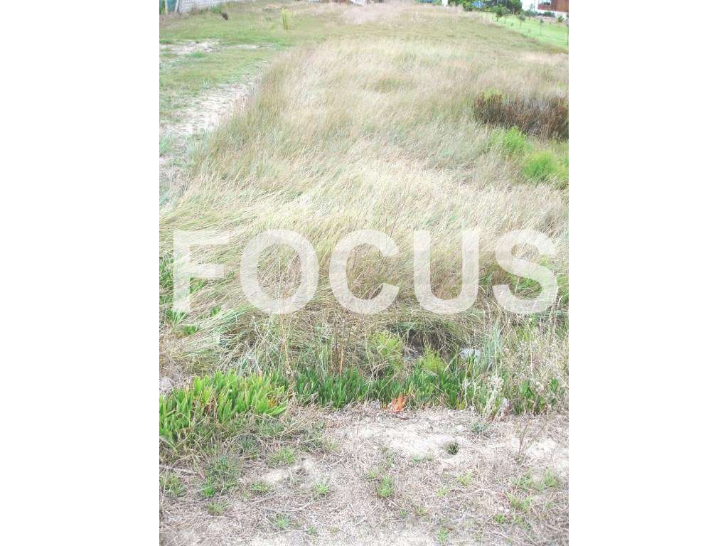 Terreno com vista ria - Costa Nova - Grande imagem: 2/2