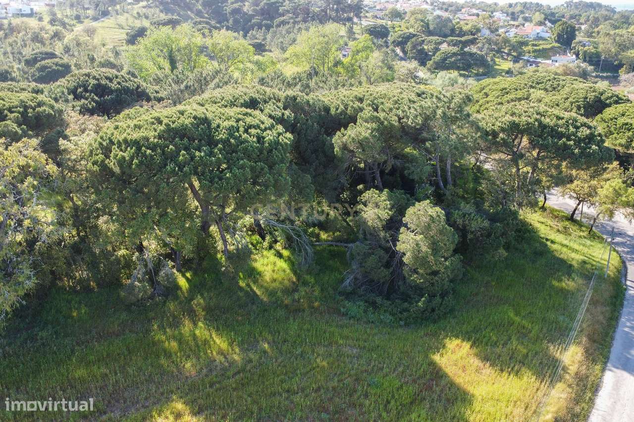 Terreno Urbano - Sesimbra - Projeto Aprovado-14