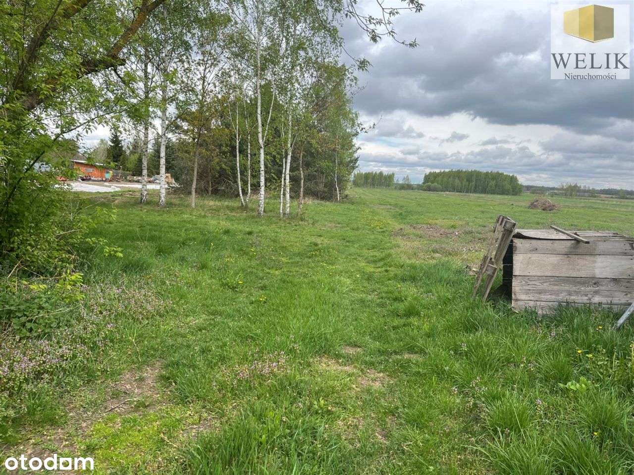 Wyjątkowa 1 Ha Działka W Rakowiskach - Pełny obrazek: 3/6