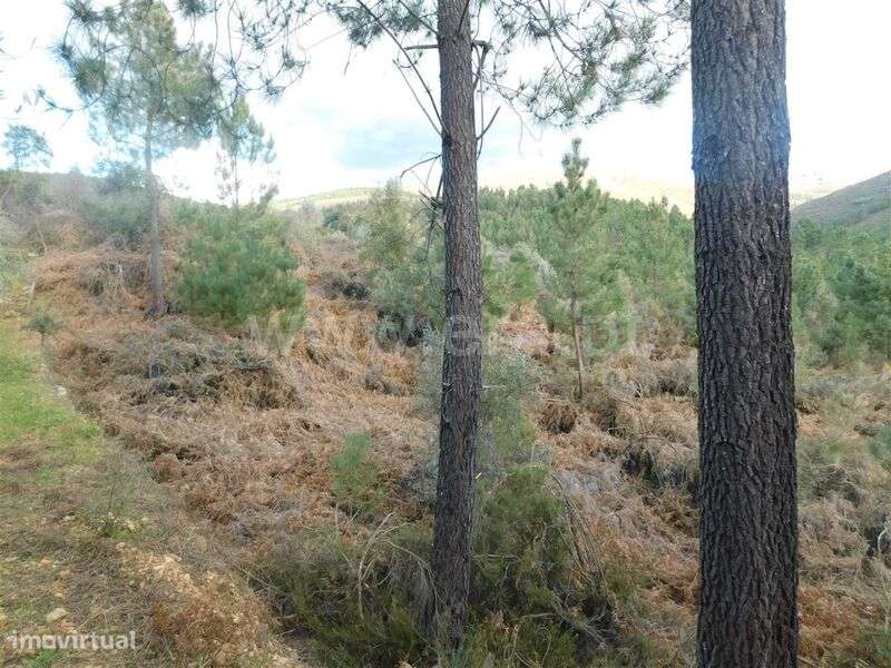 Terreno / Fundão, Souto da Casa - Grande imagem: 3/4