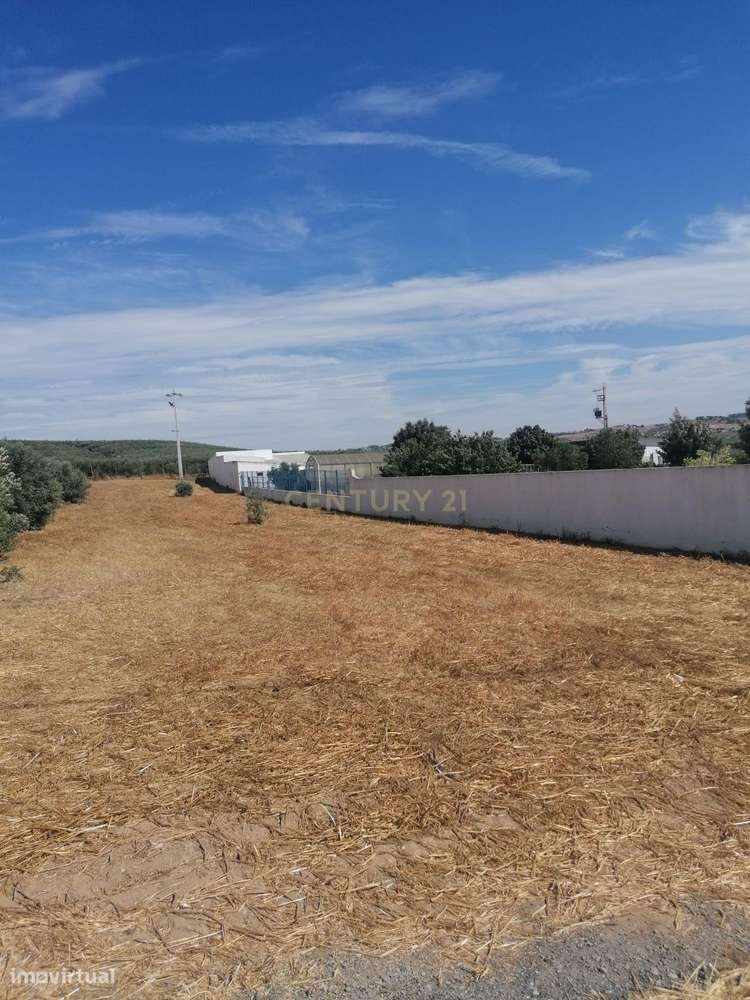 Magnifico Terreno , 3250 m2, que pode ser a sua "QUINTA" no Monte Barr - Grande imagem: 4/7