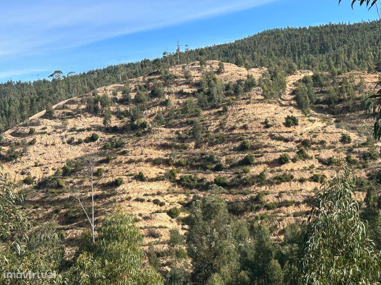 Terreno rustico , com ruína registada. - Grande imagem: 2/9