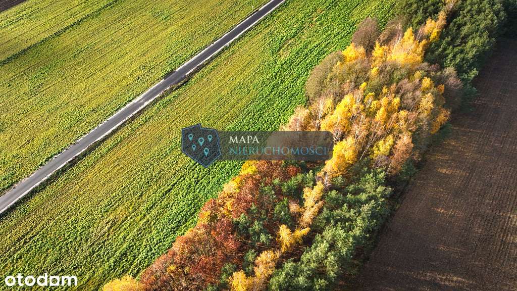 Działka rolna z możliwością podziału - Pełny obrazek: 5/7