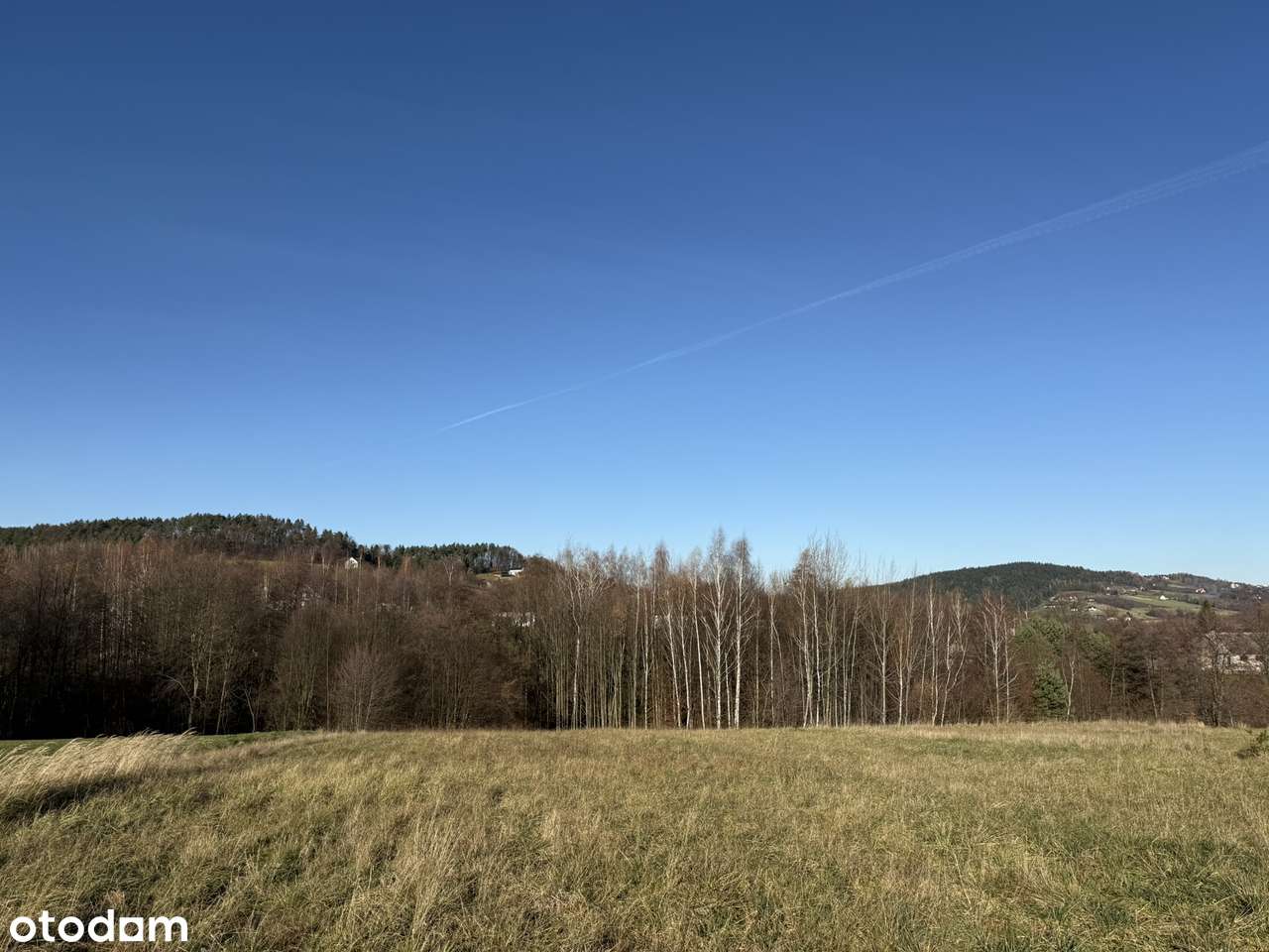 Czasław - atrakcyjna działka widokowa pod zabudowę-7