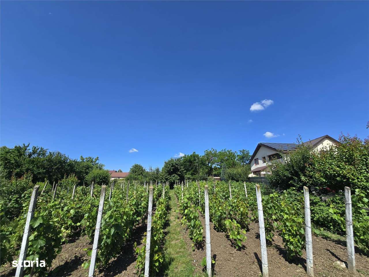 Lunca Cetatuii, teren 400 mp, deschidere 14 ml latime 28 ml - Imagine principală: 2/3