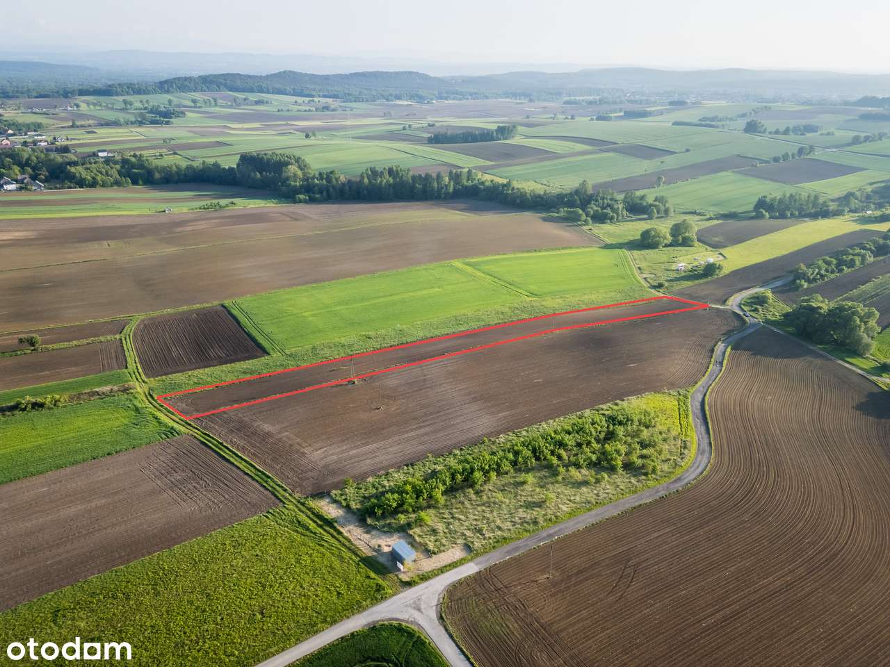 Rybna | Działka rolna | 54 ar | 0% PROWIZJI-6