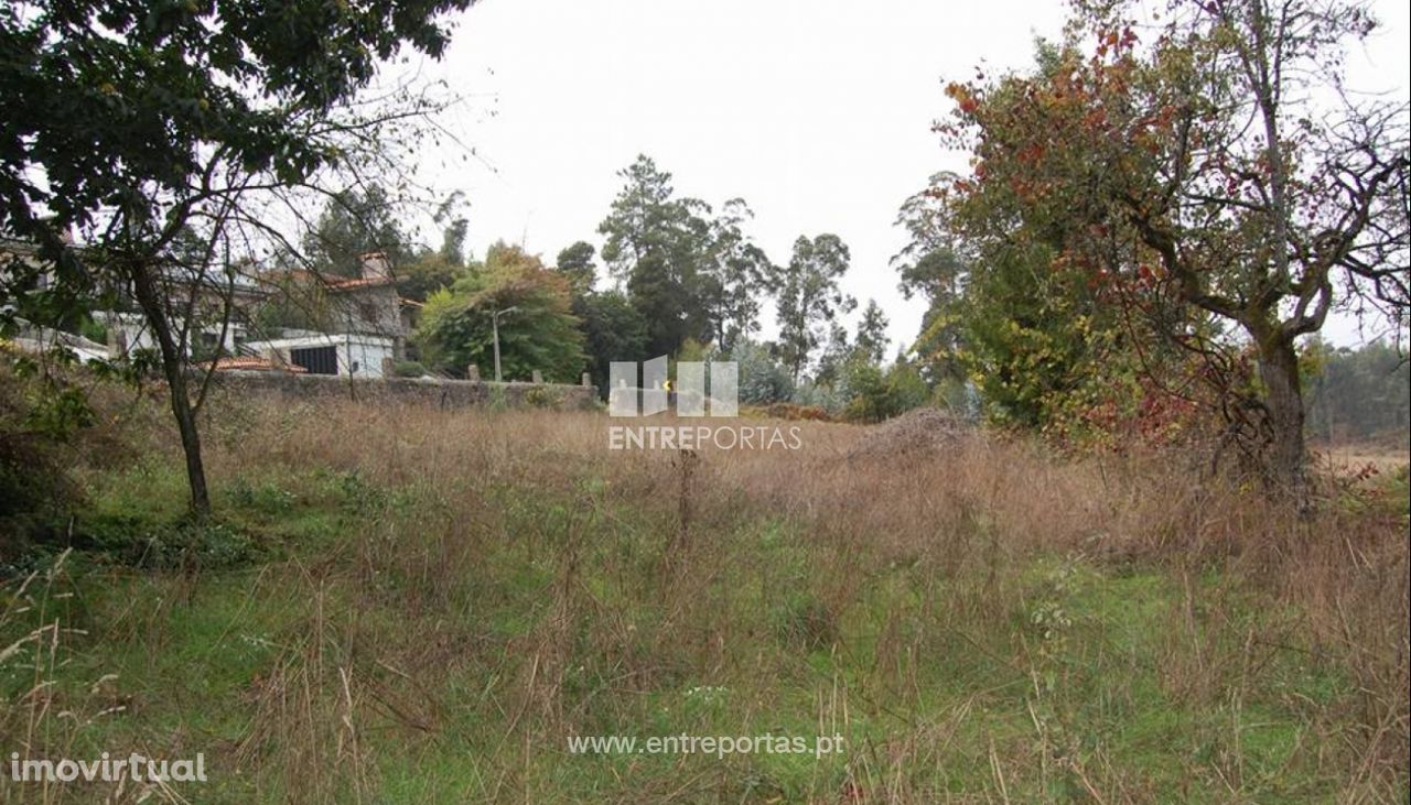 Venda de Quintinha com 4880 m2, Macieira da Maia