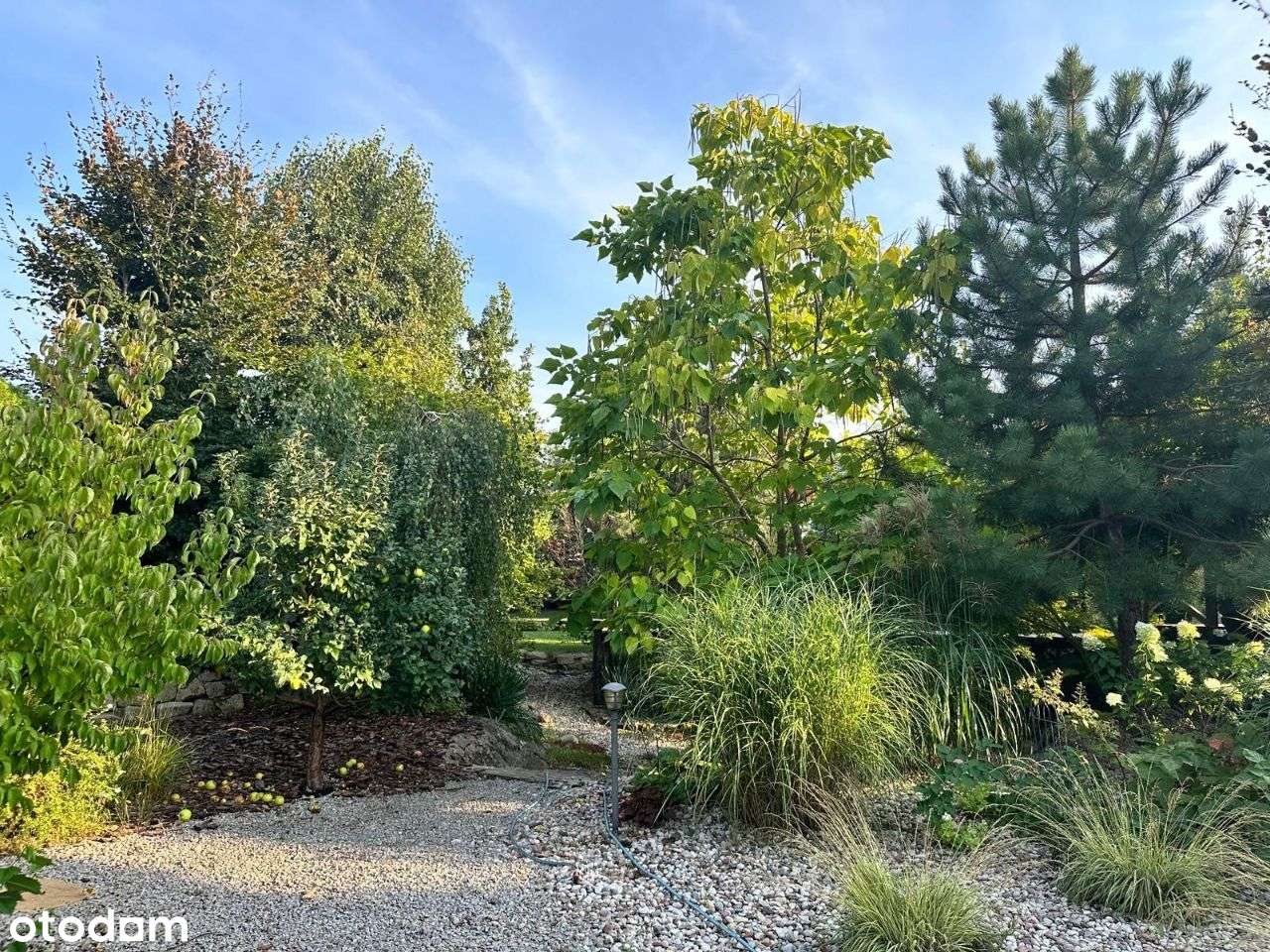 Atrakcyjna dzialka z ogrodem na sprzedaż - Pełny obrazek: 4/18