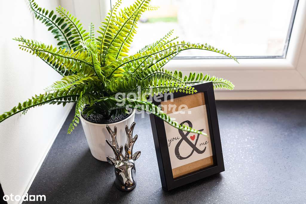 Nowoczesna kawalerka z antresolą przy Pl. Wolności - Pełny obrazek: 5/13