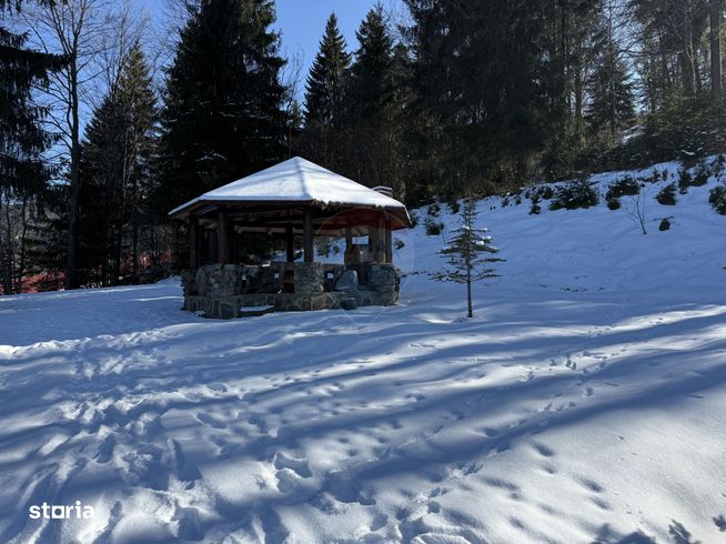 Cabană de vis în inima munților, chiar lângă pârtia de schi din Borșa-16