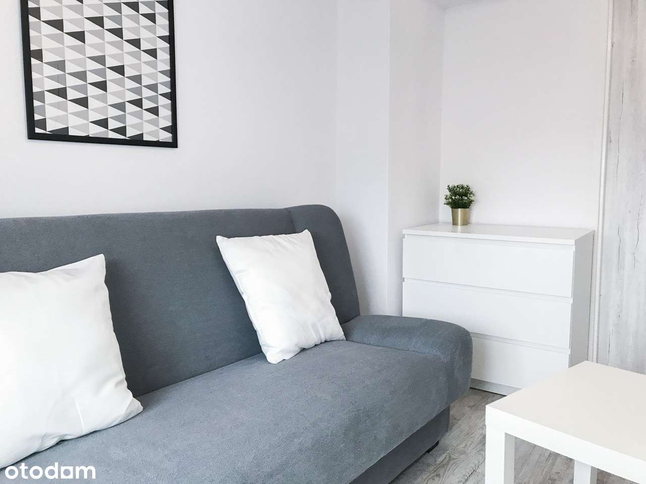 Bez prowizji / ul.Kraszewskiego / m.3-pok / Piwnica / Kleczków - Pełny obrazek: 5/8