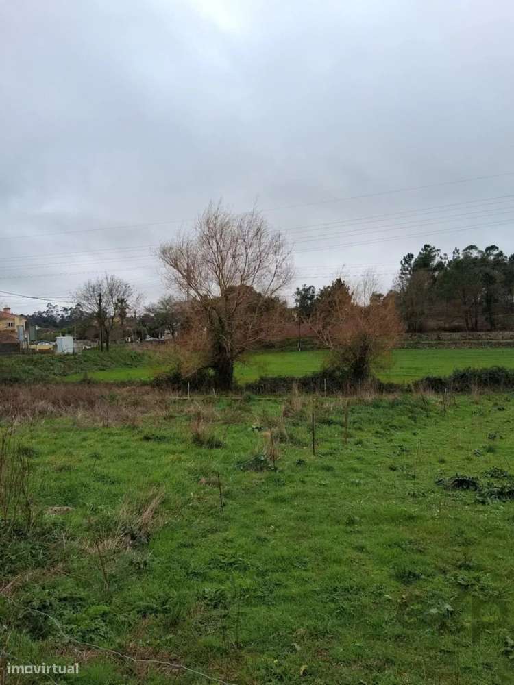 Terreno em Esposende, Palmeira de Faro - Grande imagem: 2/7