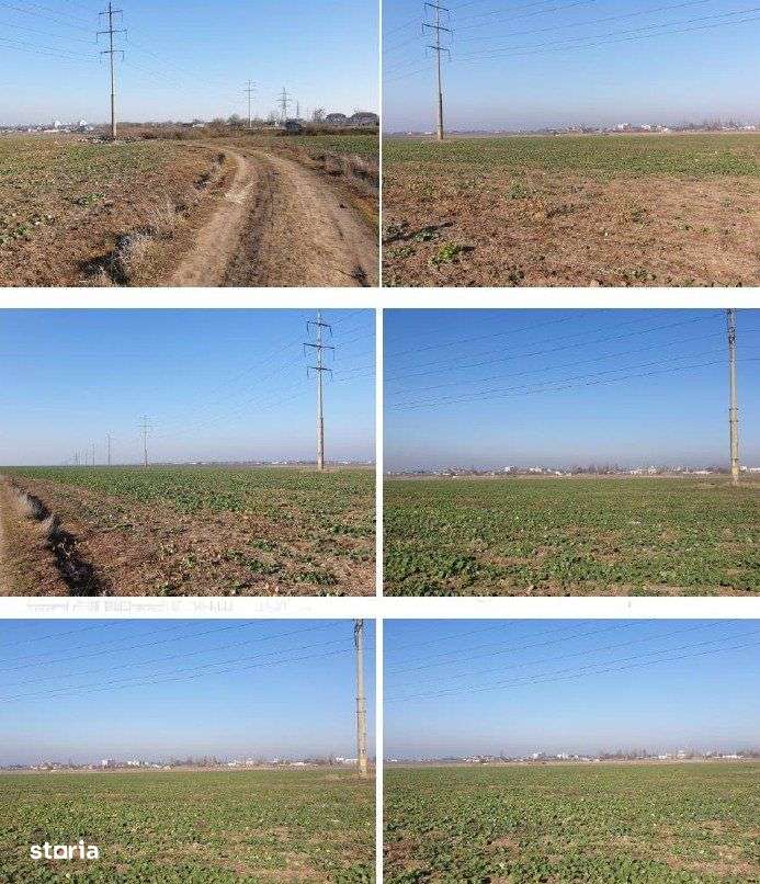 BRAILA, Zona Lacul Dulce, Cartier ANL, Teren Intravilan 20,000 MP - Imagine principală: 4/4