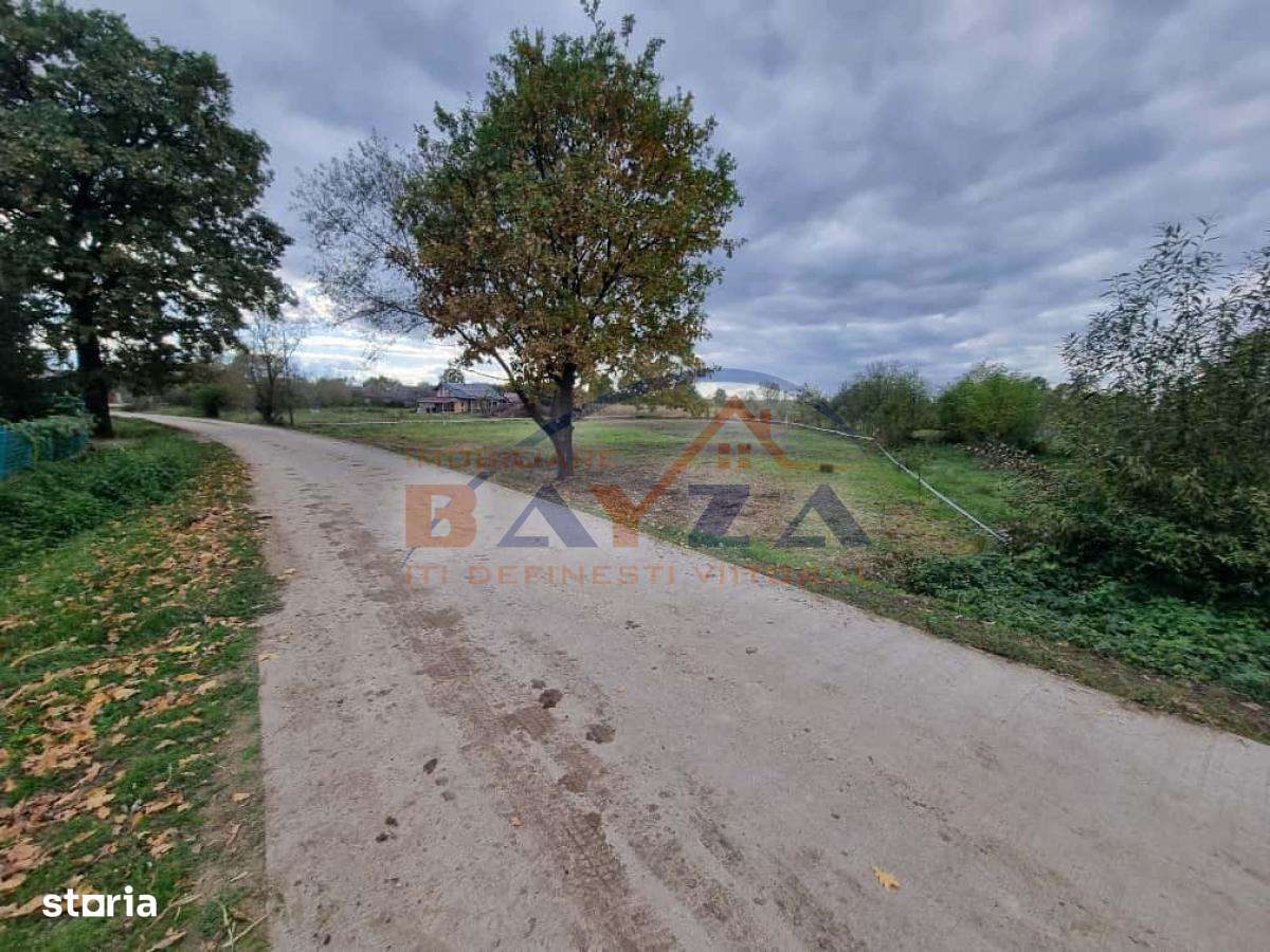 Teren intravilan Bozânta Mică, 1.750 mp, front stradal 31 m, utilități - Imagine principală: 4/6