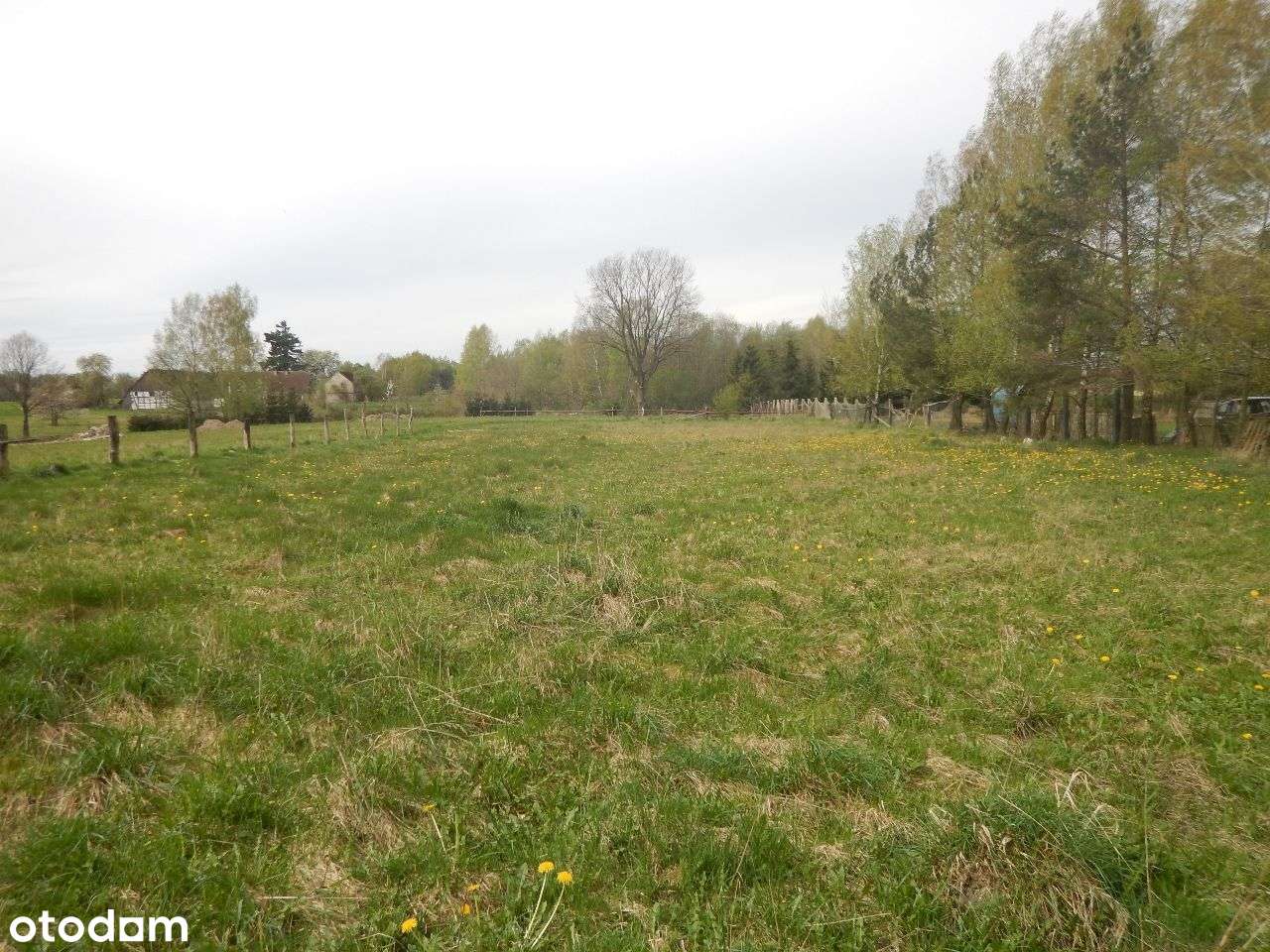 Działka budowlano - rolna, pow. 0,43 ha, BIERKOWO - Pełny obrazek: 4/14