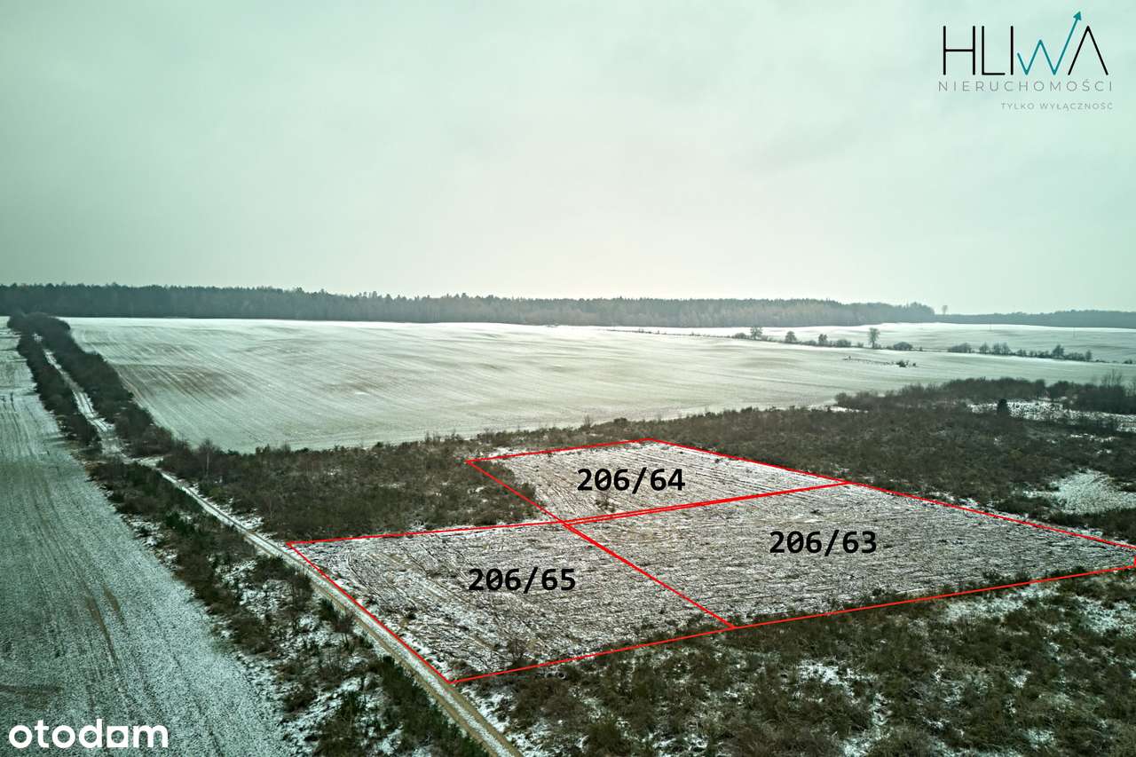 Działka zagrodowa Mierzyno gm. Gniewino 3011 m2-4