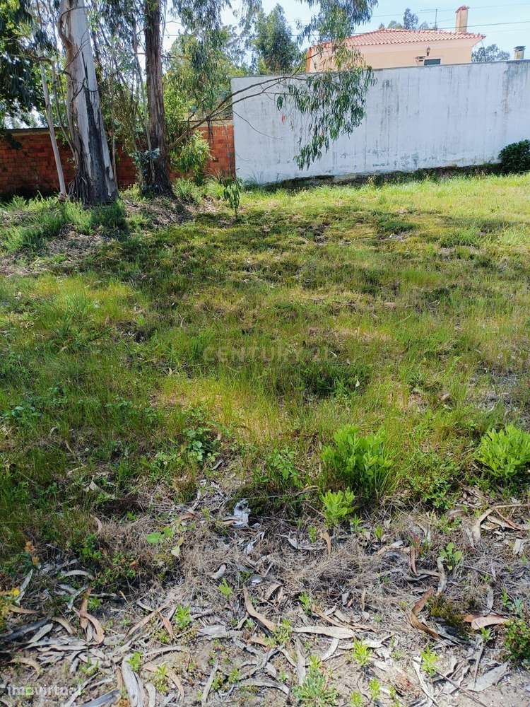 Terreno Urbano em Mamodeiro – Excelente Oportunidade de Construção-7