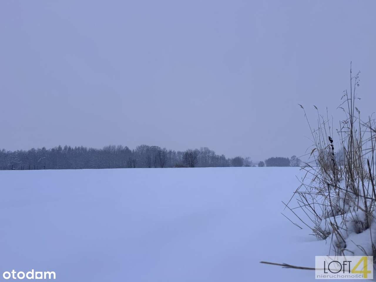 Łukowa - doskonała okazja dla inwestora z WZ-6