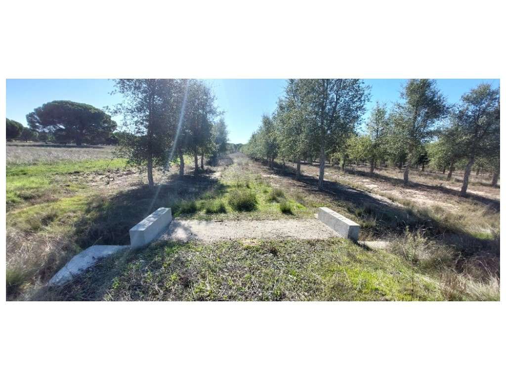 TERRENO Rústico - Grande imagem: 4/24