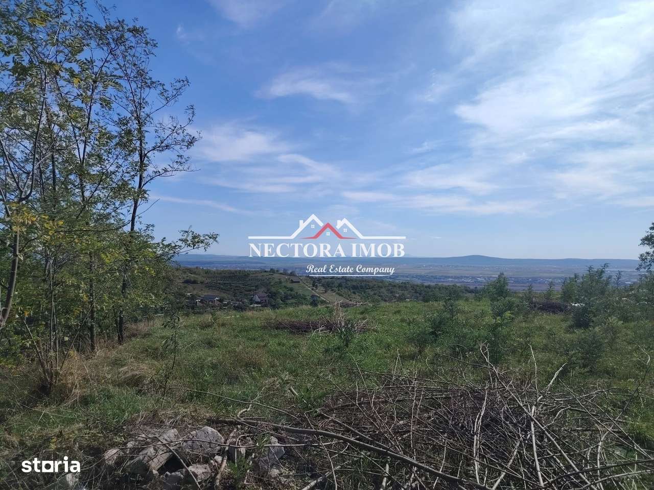 NECTORA IMOB-Teren Saldabagiu de Munte, 2350 mp, 21 ml front stradal - Imagine principală: 4/5