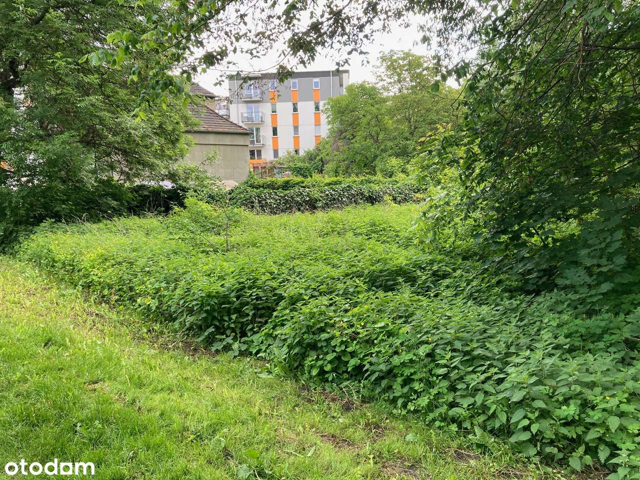 Działka WIELOMIESZKANIOWA Zawady/Główna MPZP-0