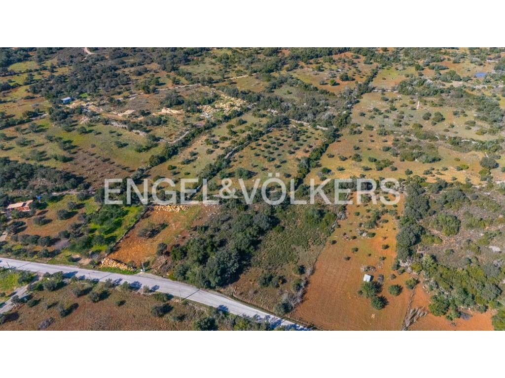 Investimento: Parque de Autocaravanas em São Brás de Alportel - Grande imagem: 4/13