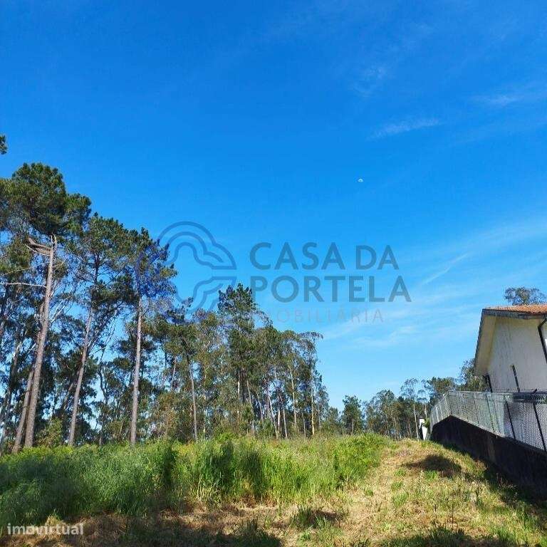 Terreno Rustico 6844 m2 para construção em Souto , Stª Maria da Feira - Grande imagem: 1/21