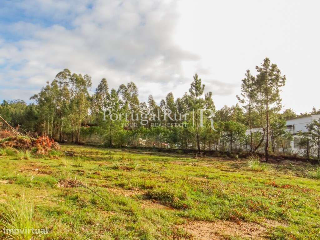 Terreno com 30.000m2 junto a Coimbra - Grande imagem: 4/13