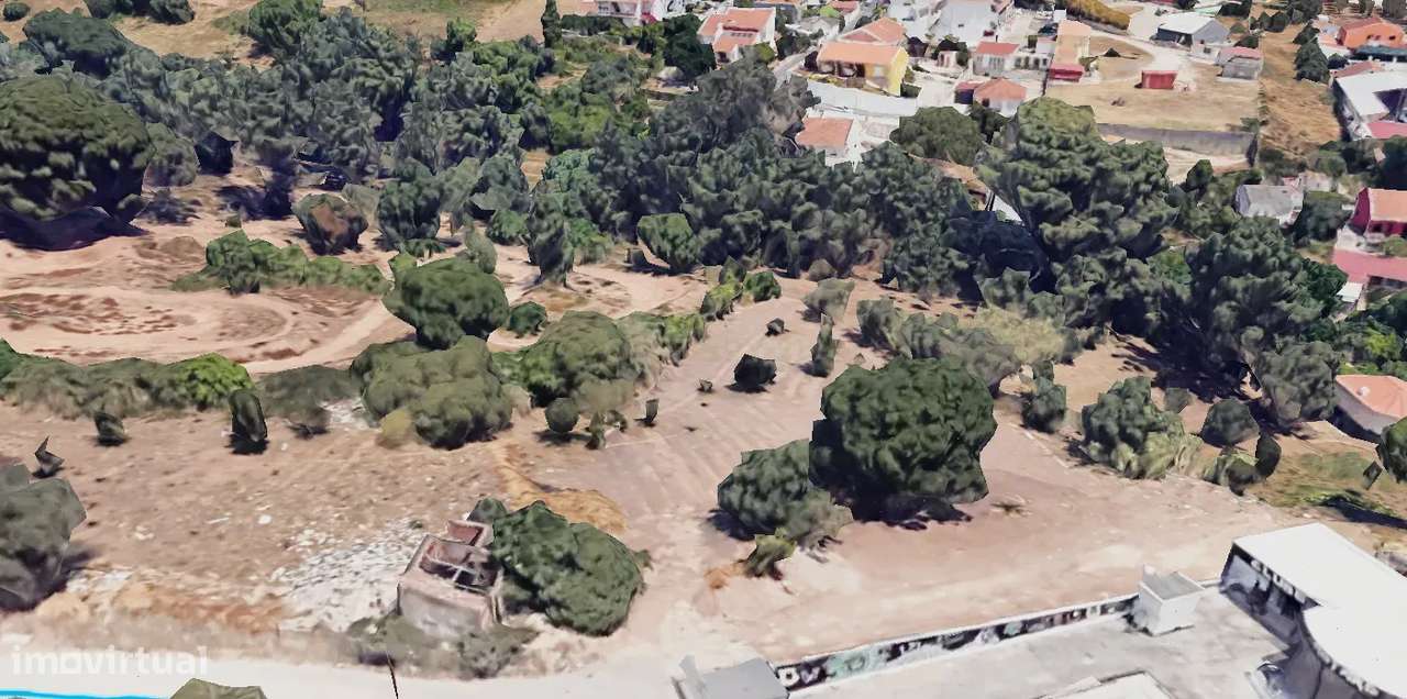 Terreno com 5640 m2 no Tojalinho - Grande imagem: 4/5