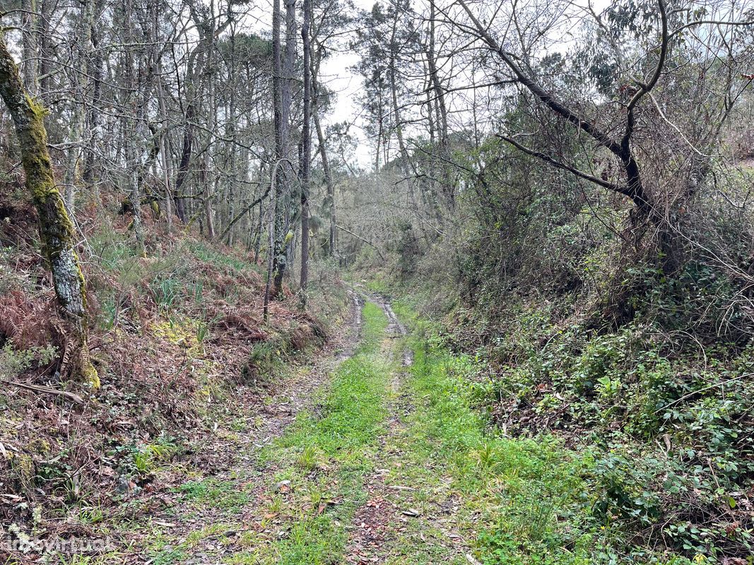 Terreno  para venda