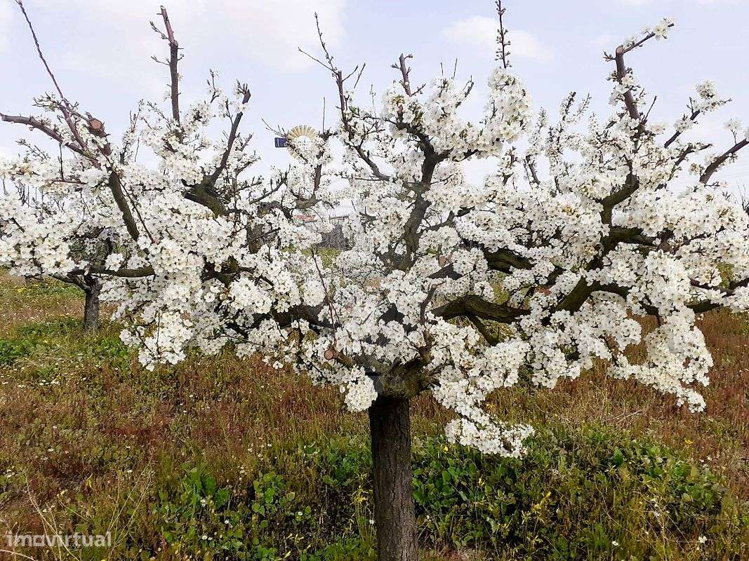 Terreno  para venda - Grande imagem: 4/28