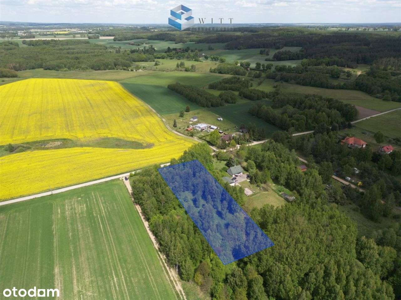 Twoje miejsce w naturze – Ostrowite - Pełny obrazek: 5/18