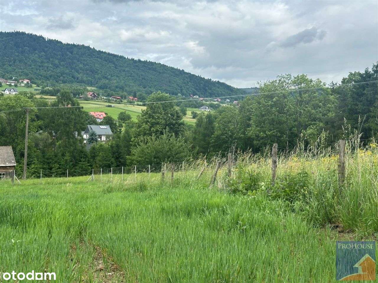 Działka, 4 873 m², Pisarzowa - Pełny obrazek: 4/18