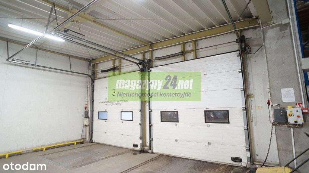 Do wynajęcia hala magazynowa 2726 m2 Gniezno - Pełny obrazek: 5/5