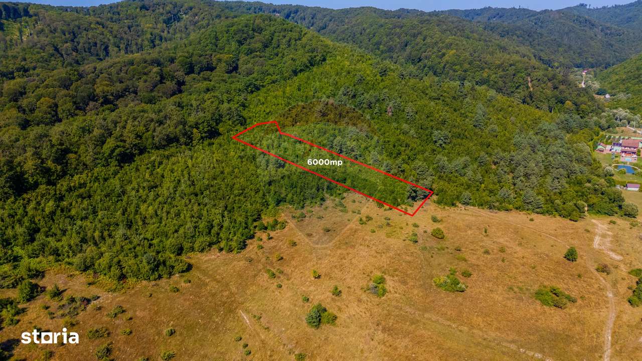 Teren 6,000mp Crizbav / Strada principala - Imagine principală: 2/9