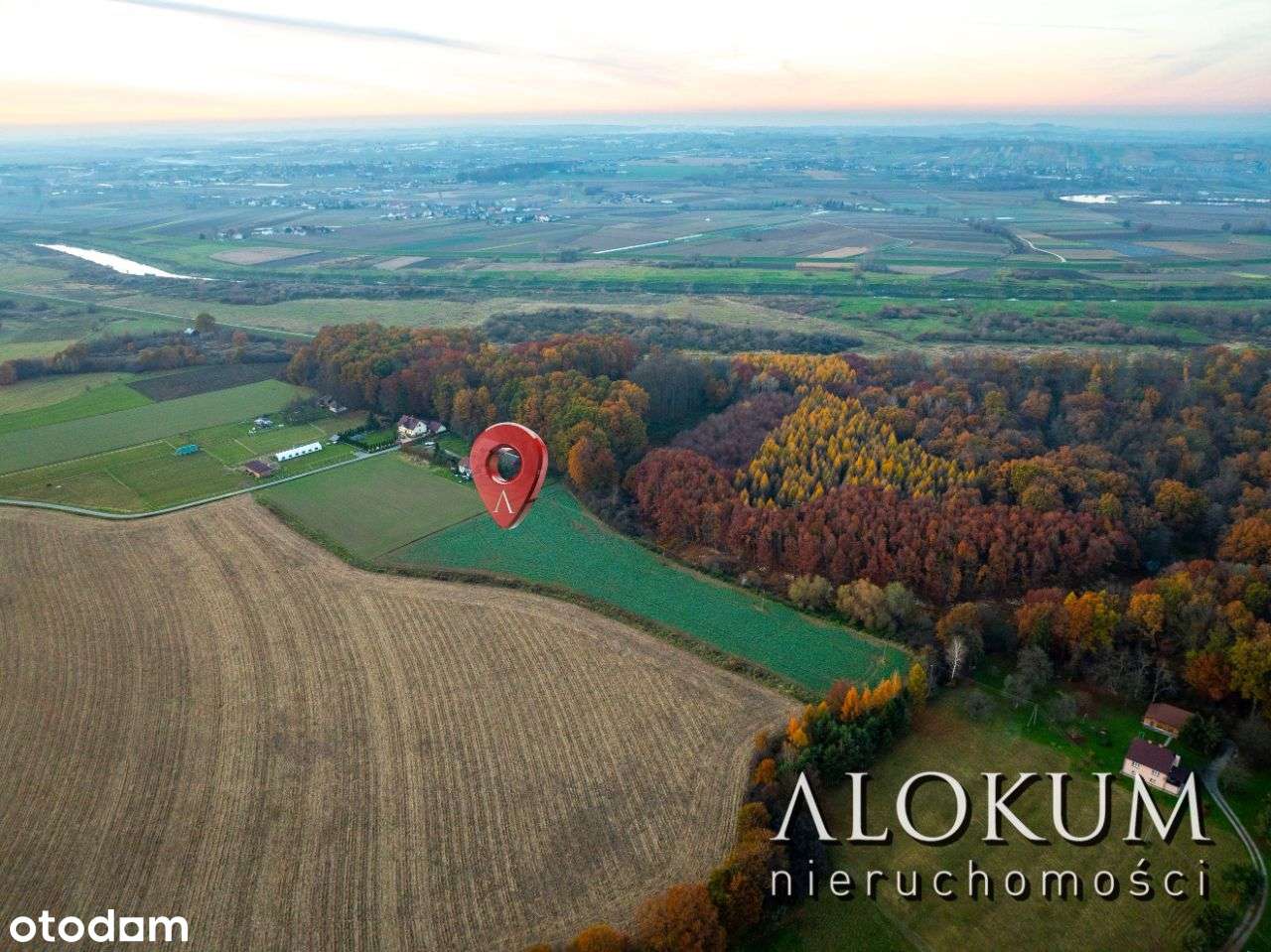 Na sprzedaż działka / Wola Batorska - Pełny obrazek: 5/8