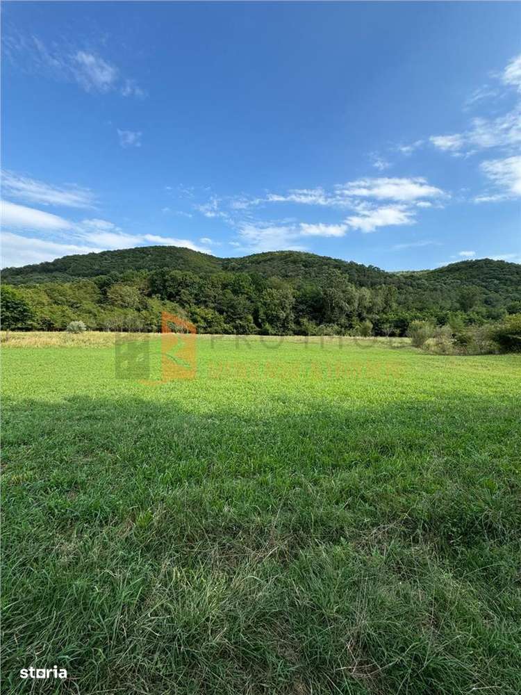 Teren intravilan zona Mierea, com. Vernesti - Imagine principală: 3/5