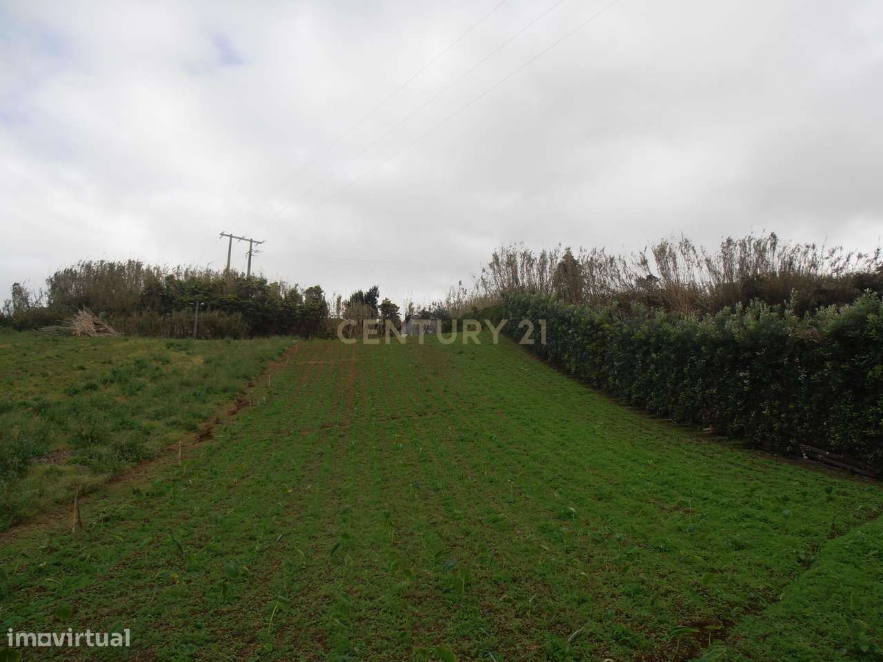Terreno no Porto Formoso - A três minutos da fábrica do chá - Grande imagem: 2/8