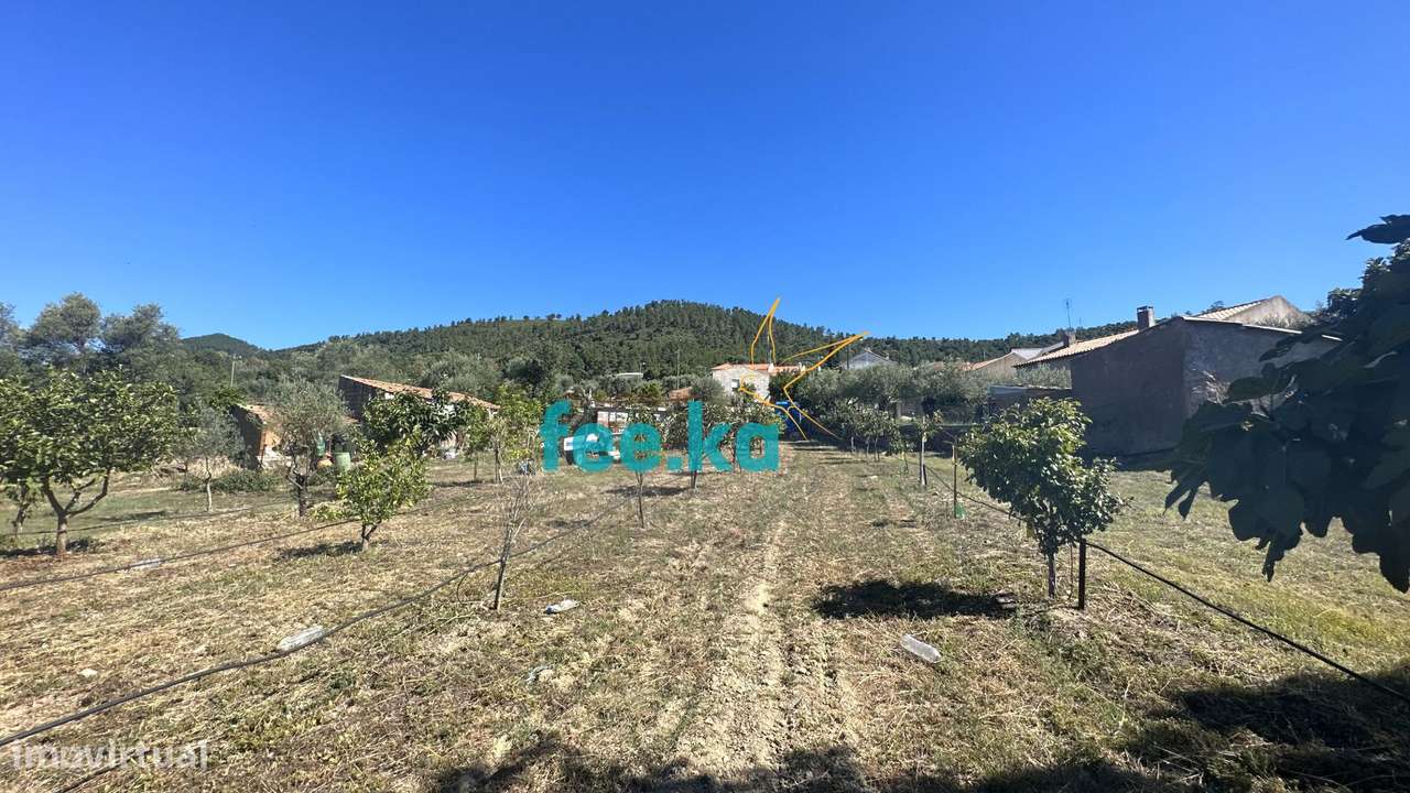 Quintinha em Monfortinho-32