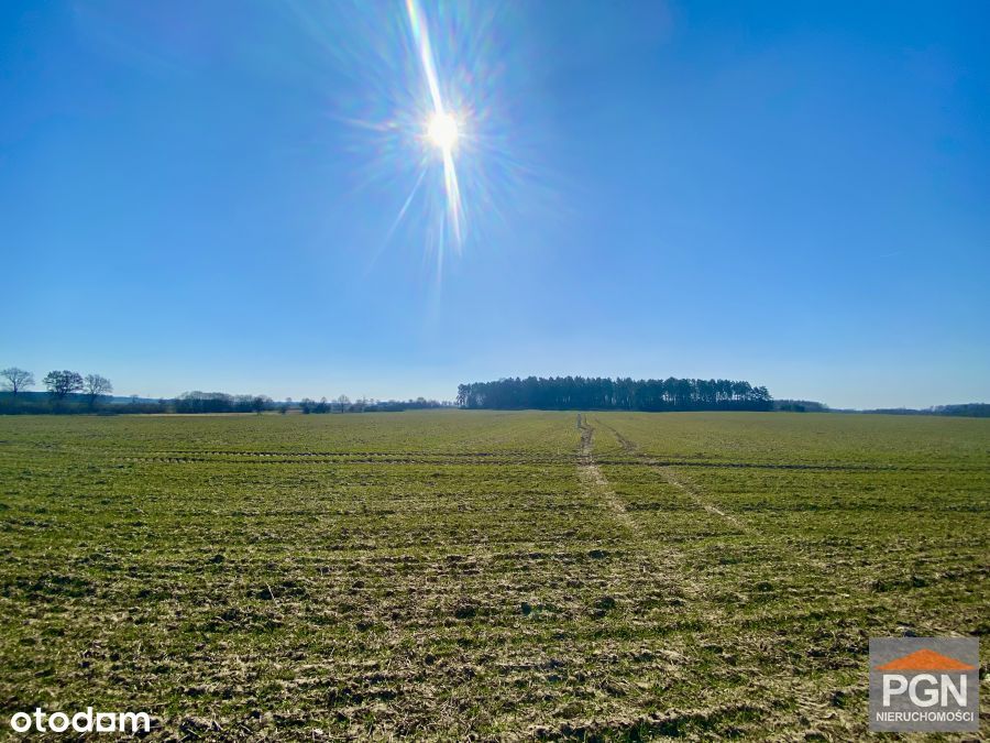 Działka rolna, Gryfice.