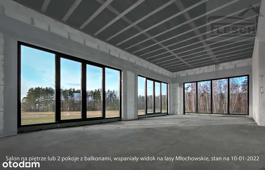 Willa blisko lasu - Pełny obrazek: 1/6