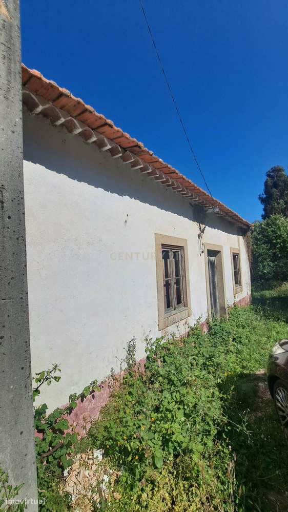 Quinta para venda perto de Dornes -Paio Mendes - Ferreira do Zezere - Grande imagem: 3/38