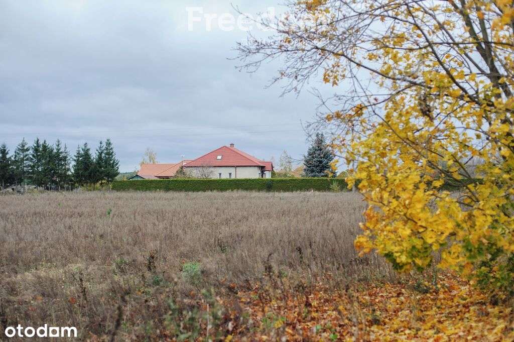 Atrakcyjne działki budowlane z warunkami zabudowy. - Pełny obrazek: 4/7