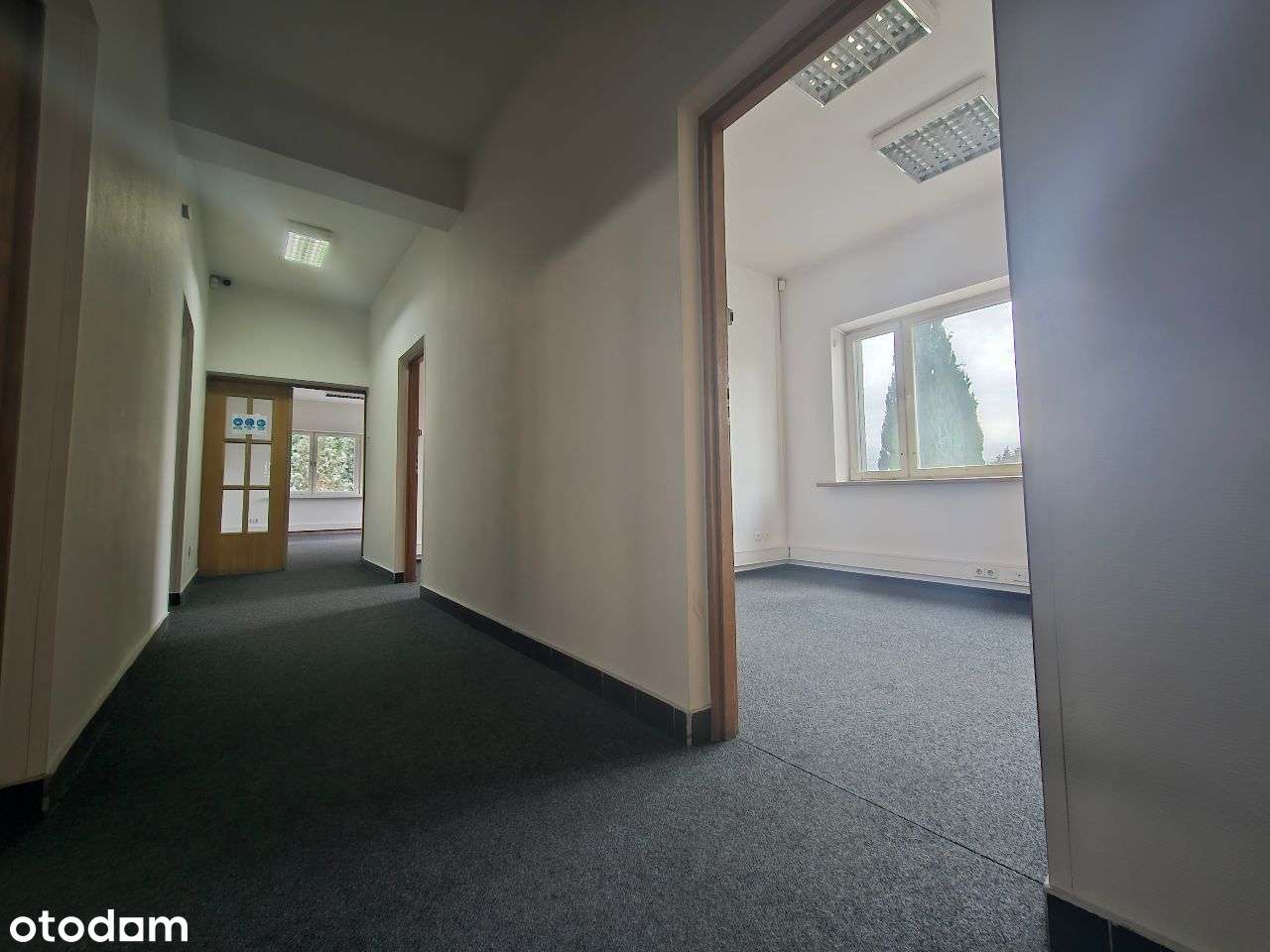 Sprzedam nieruchomość k. Szczecina przy granicy - Pełny obrazek: 4/4