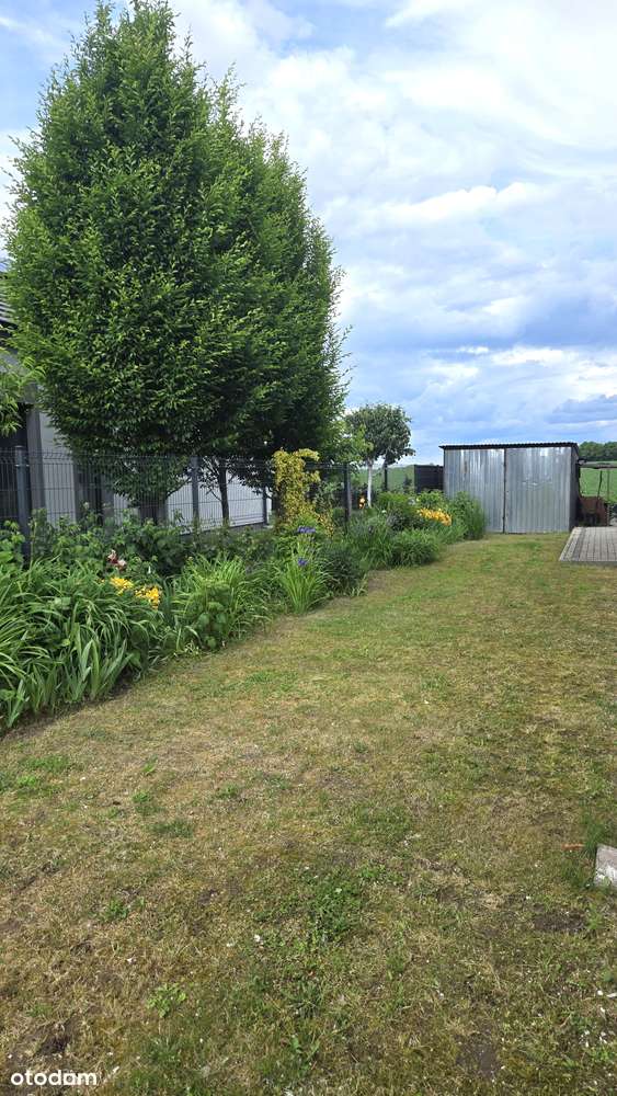 Rosnówko, Wysoki Standard, Od Zaraz-4