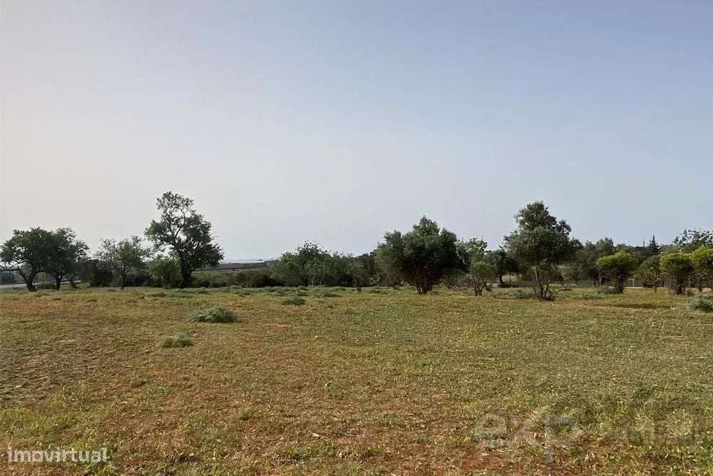 Terreno Rústico em Quelfes, Algarve - Grande imagem: 5/11