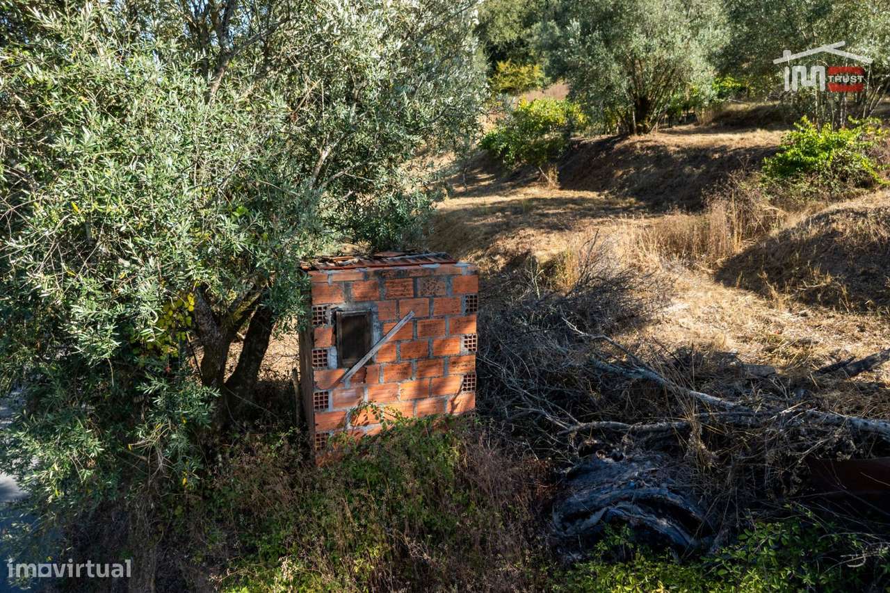 MORADIA T2 EM SEIÇA INSERIDA NUM TERRENO COM 707 m²-28