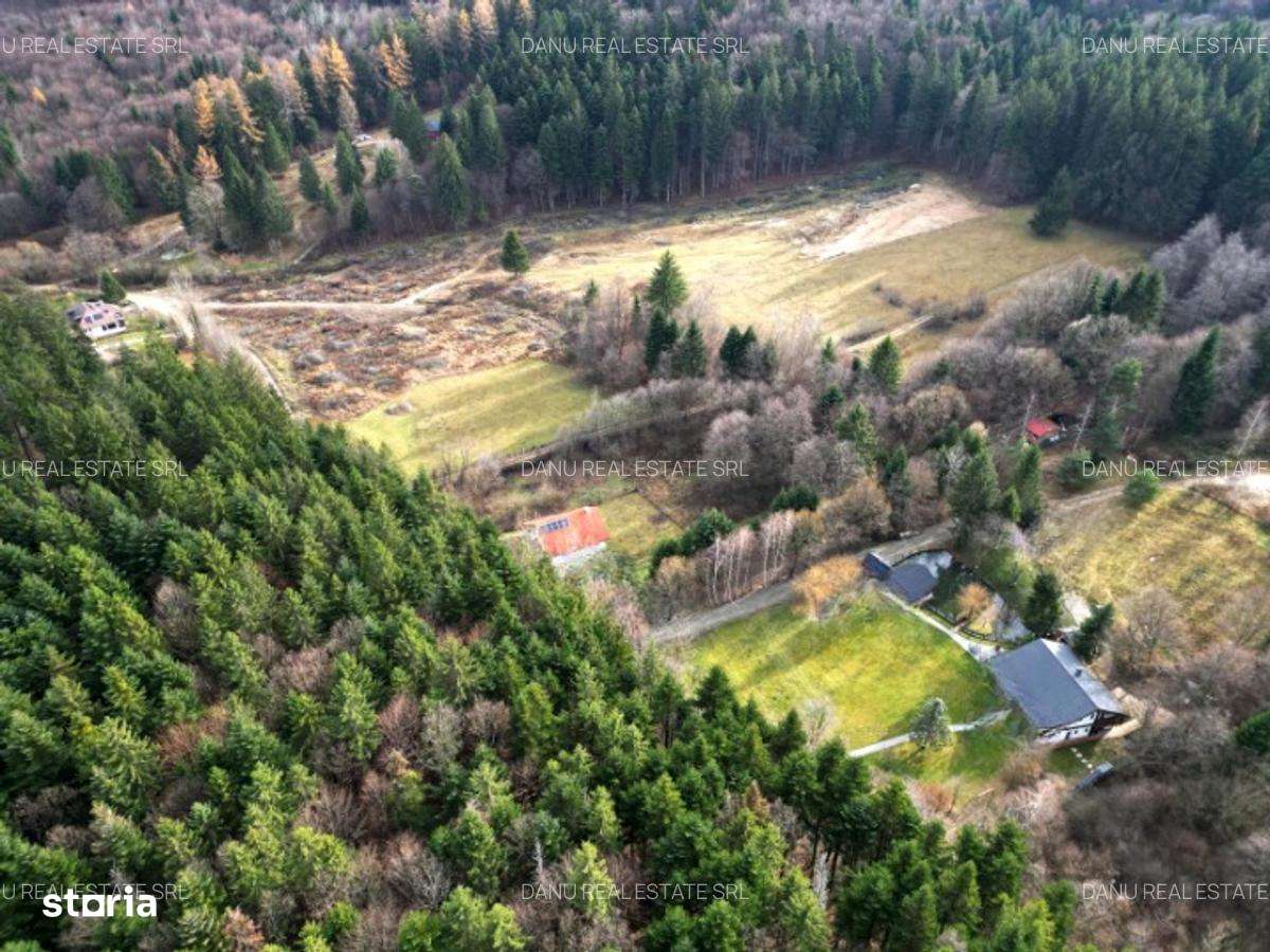 Teren intravilan2000mp în Vulcan BV–Oază de liniște -pădure si lacuri-5