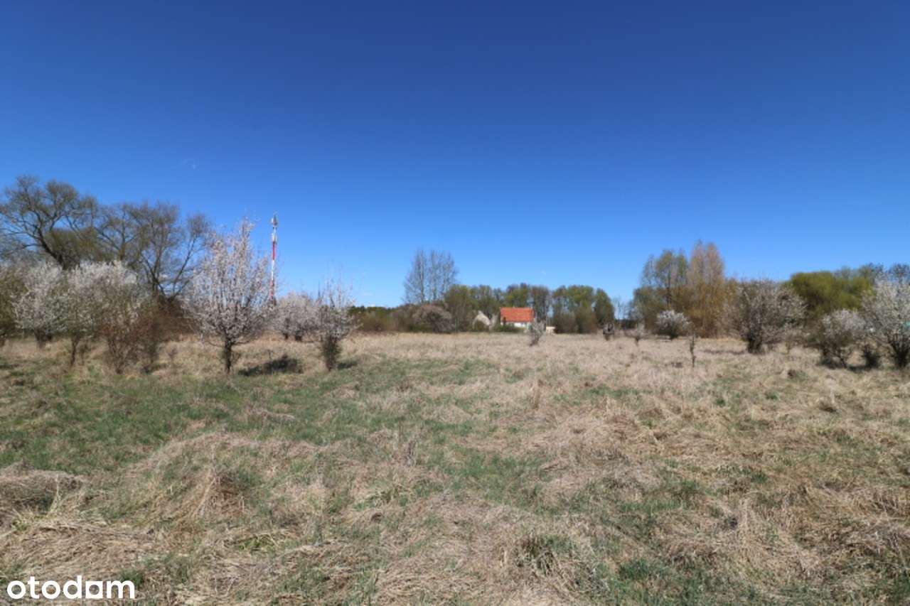 Działki w Słubicach – ul. Jastrzębia-9