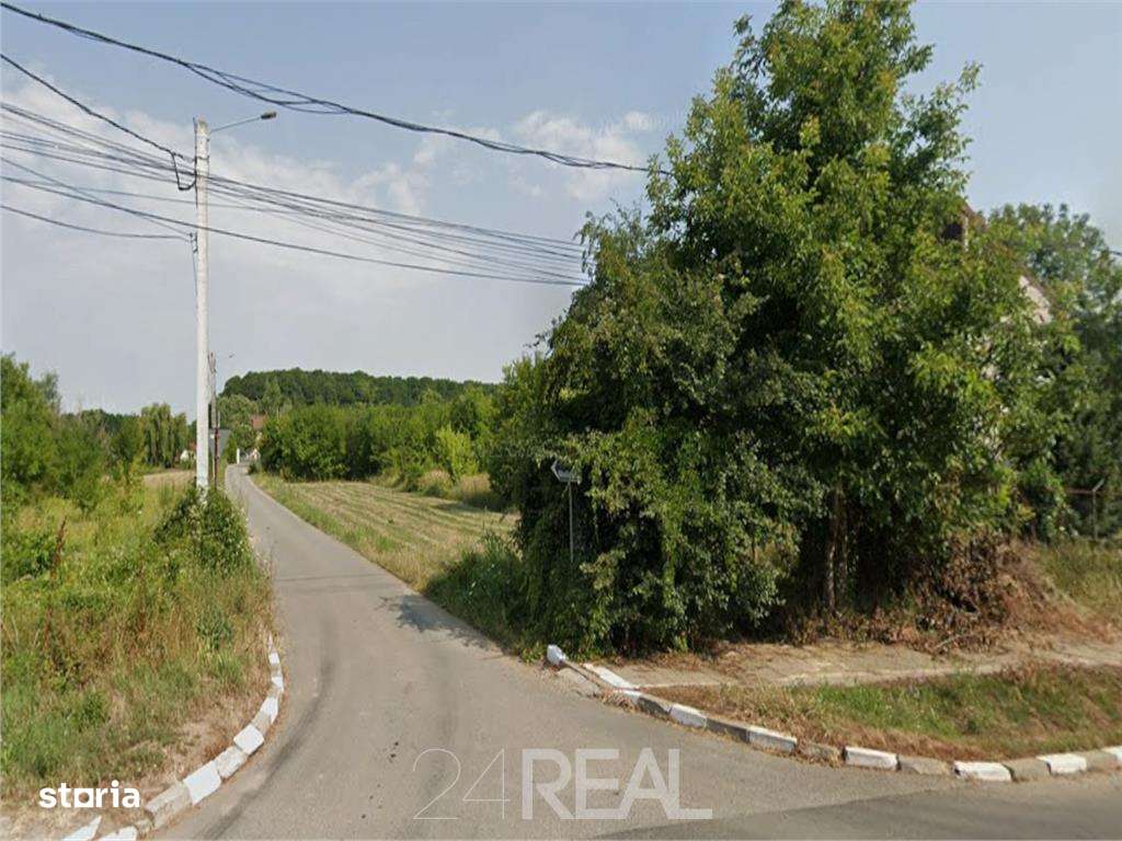 Teren de vanzare in Snagov - 981 mp-1